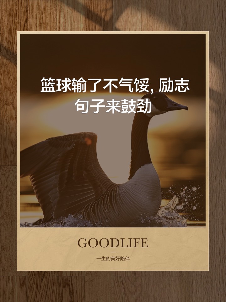 如何通过数据分析优化篮板训练效果?_1